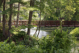 Green space around Indian Pond