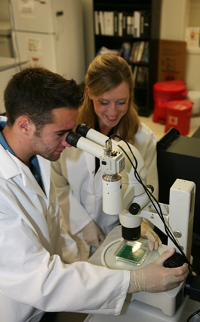 UAlbany CNSE summer internship program 2010