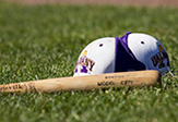UAlbany Baseball