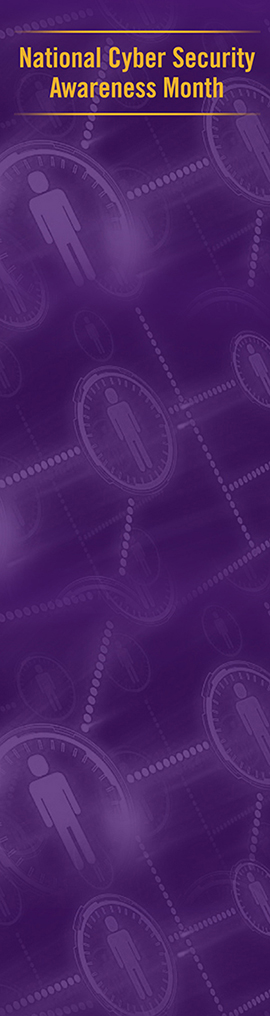 UAlbany Trapped in the Web