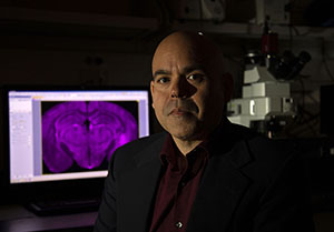 Andrew Poulos sits in front of a bright purple image of a brain upon a computer