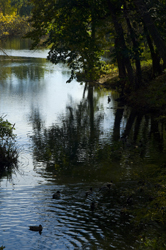 The tranquility of Indian Pond.