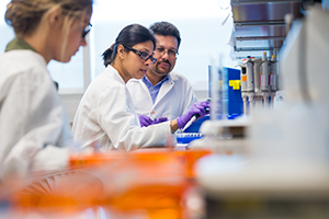 Dr. Bijan K. Dey in lab at The RNA Institute.