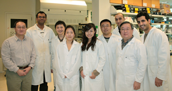 Li Niu's research group