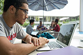 Image of student looking at laptop. 