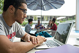 Image of student looking at laptop. 