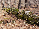 Photo of historical stone wall taken by John Delano.