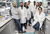 Paolo Forni stands with his student research team in a University at Albany life sciences laboratory.