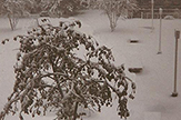 UAlbany October 4 1987 snowstorm