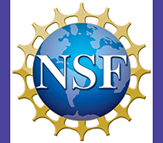 Theresa Pardo UAlbany NSF