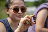 A female UAlbany student looks at an Indian artifact from the Pethick Site in Schoharie