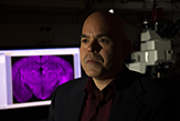 Psychologist Andrew Poulos stares off in a dark lab room as a computer screen show a bright purple image of a brain