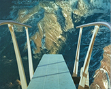 Joseph LeDoux at NYS Writers Institute UAlbany