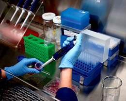 Cancer Research at the University at Albany