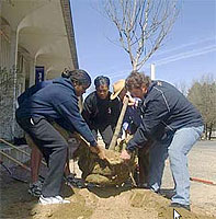 Clean up day 2007