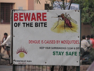 sign warning that mosquitoes spread dengue fever