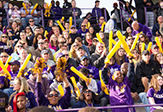 Cheering fans at Homecoming