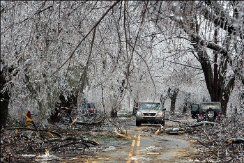 A care drives through a road with trees down after an ice storm in Worcester, Mass.