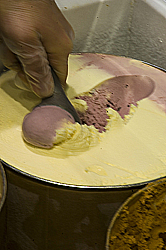 A scoop of the new UAlbany signature flavor. 
