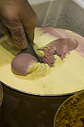 A scoop of the new UAlbany signature flavor.