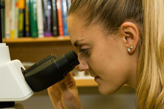 Looking through a microscope