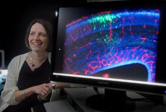 UAlbany faculty member Sally Temple