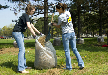 students clean up campus