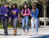 Students walk on the campus of UAlbany, which was ranked among the Money’s top 100 “Best Colleges for Your Money.” (Photo by Mark Schmidt)
