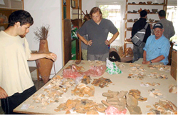 UAlbany students Rob Jennings and Blake Peschel examine Roman pottery alongside UAlbany Associate Professor Michael Werner in an archaeology lab. 