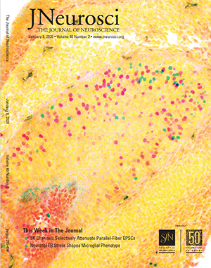 Cover story by Journal of Neuroscience by Paolo Forni of University at Albany