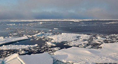 ice  floe Arctic Ocean
