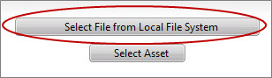 Select File from Local File System button
