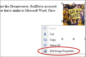 Edit Image Properties menu