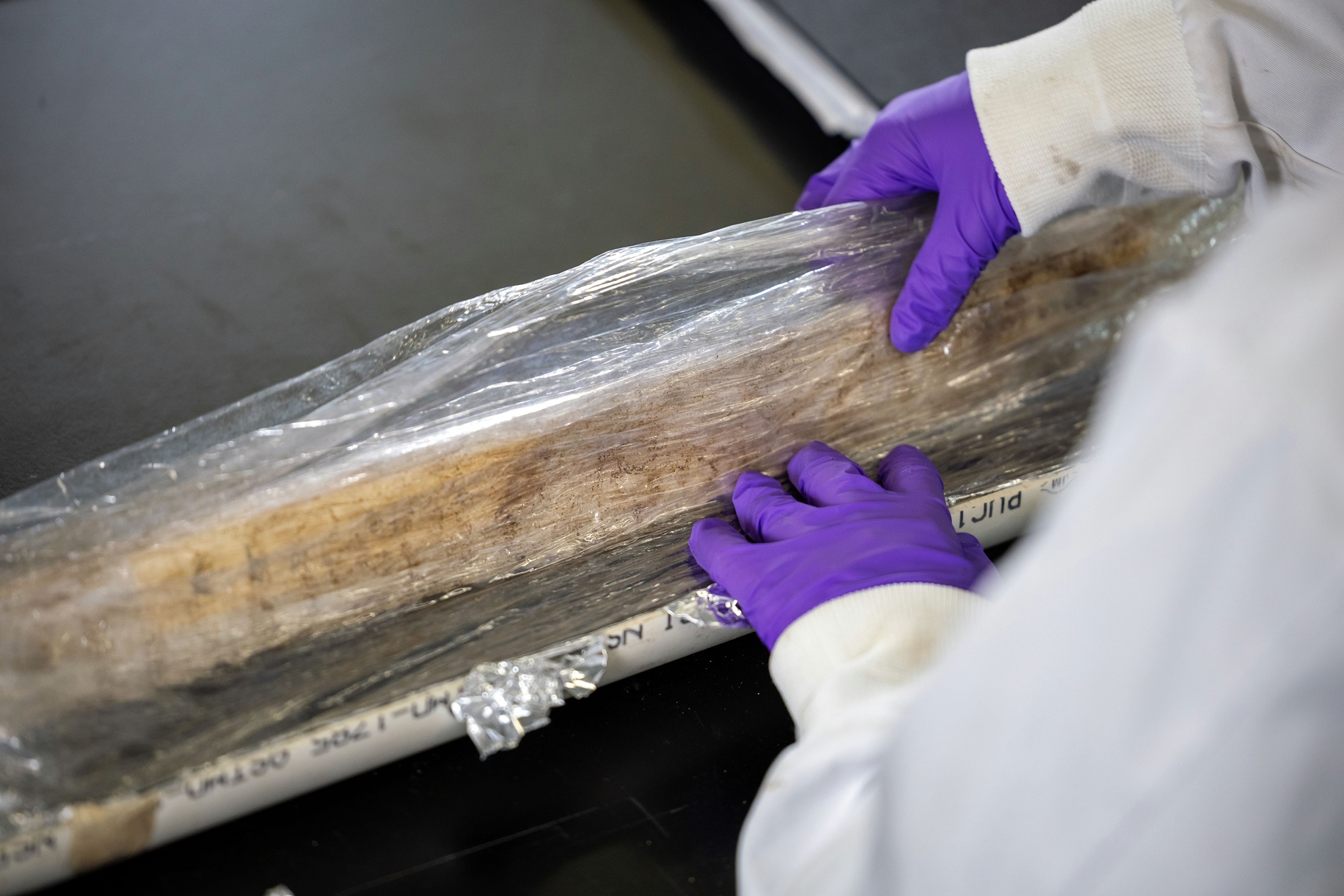 Katelyn Jacques analyzes lake mud samples from inside the Paleoclimate Lab.