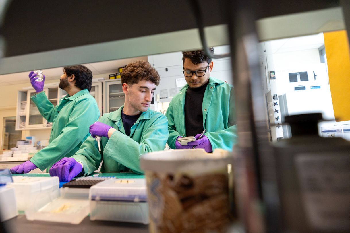 Three young men wearing green lab coats and purple latex gloves work side by side at a lab bench. One is examining the contents of a clear plastic container while the others are focused on a calculator. 