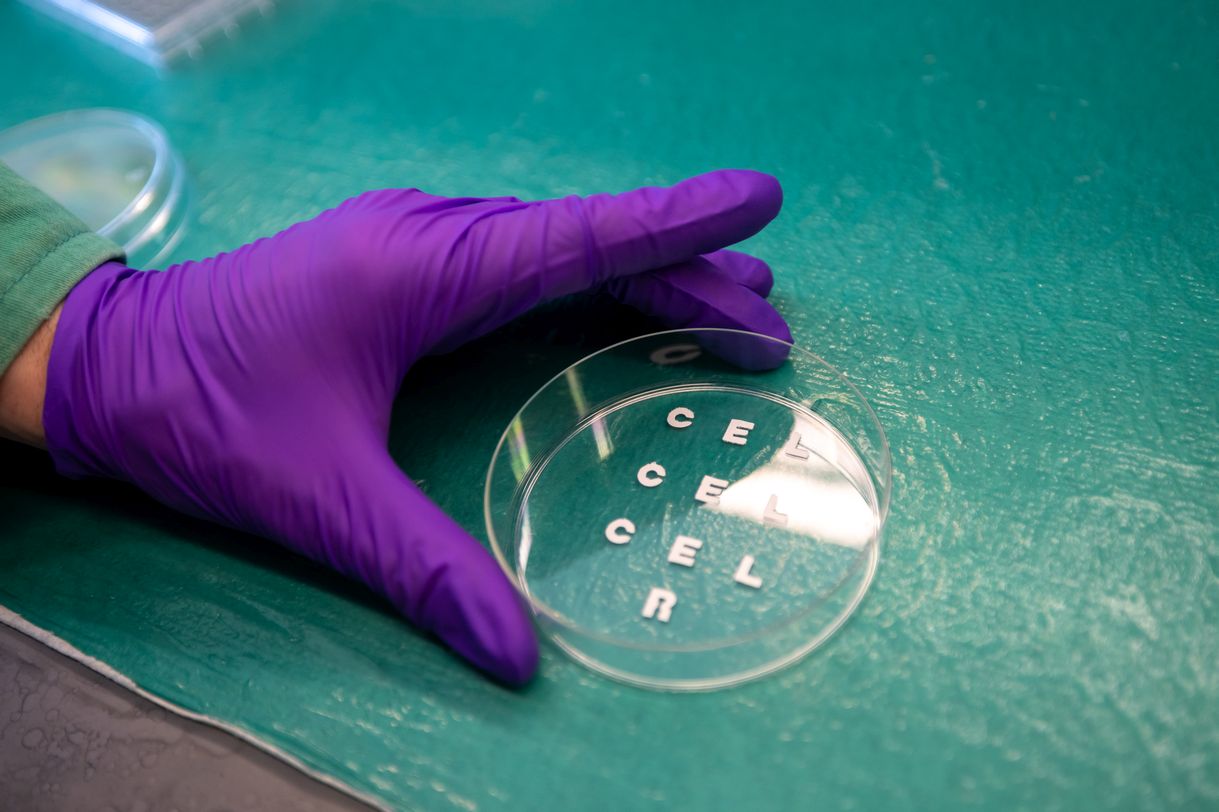 A person wearing a purple latex glove shows off a clear plastic petri dish containing 10 paper letters arranged in rows. The letters C E L repeat three times and the letter R is at the very bottom.