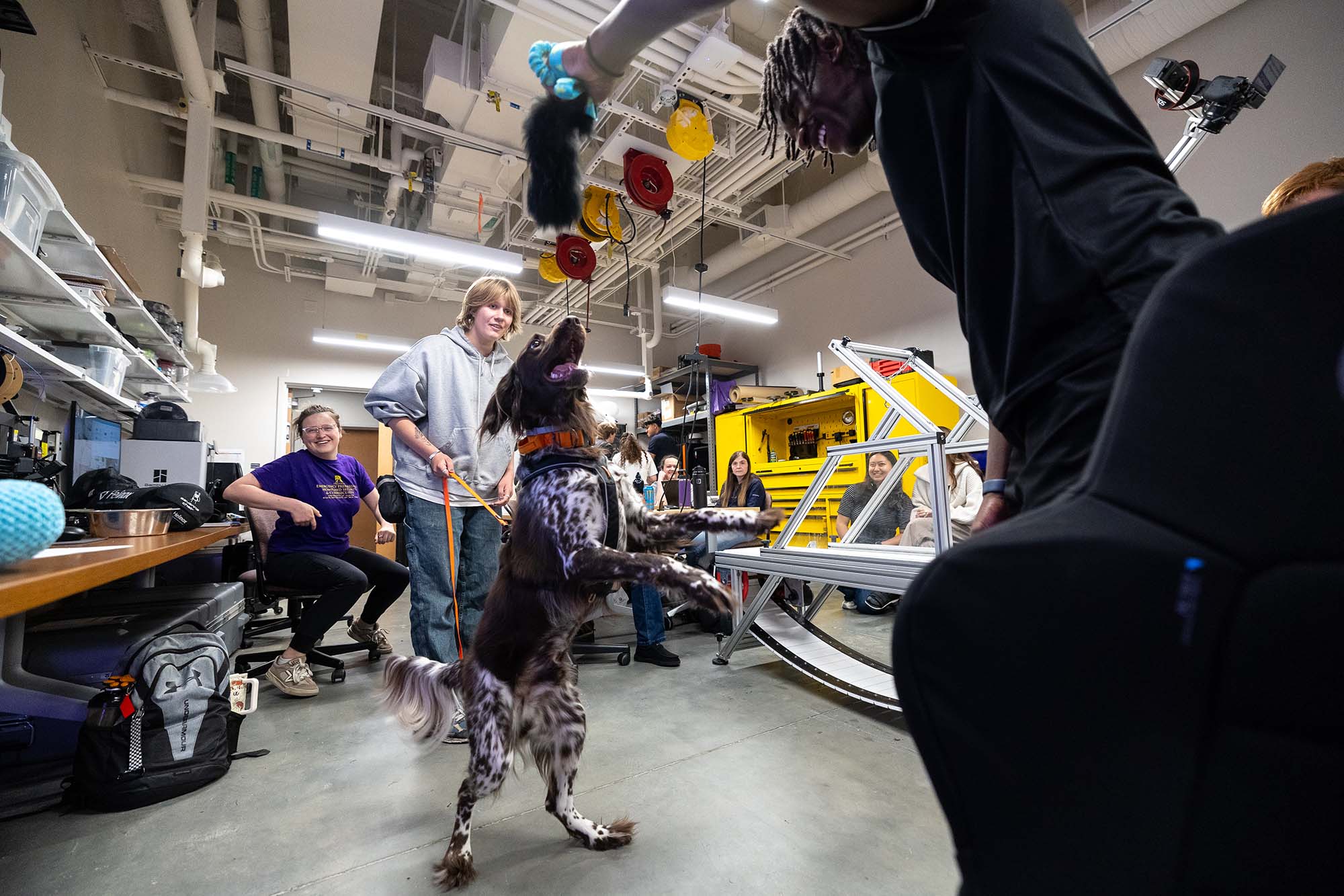 Students use computer vision technology to identify and track canine movements from inside UAlbany's Mobile Sensor Lab.