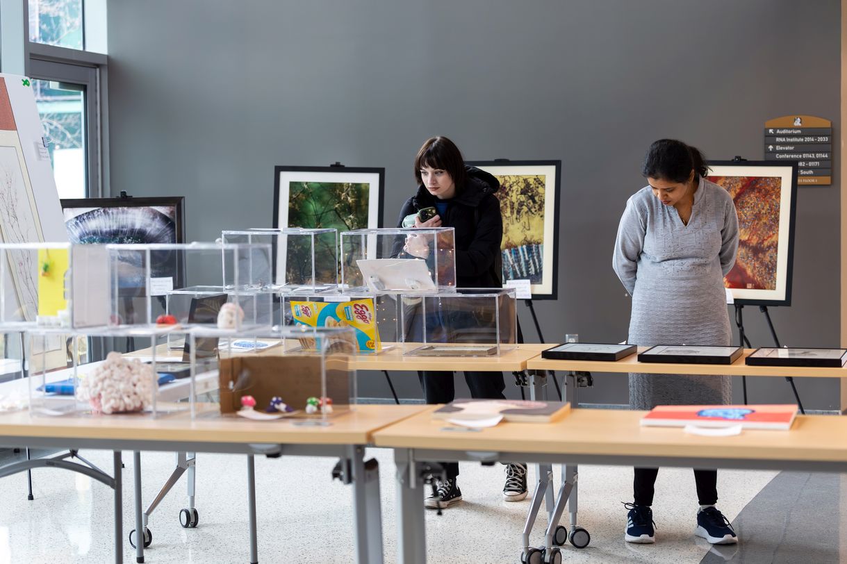 Two people look at art pieces displayed in clear plastic display cases and on wooden tables. The room is light filled with gray walls and tiled floor. 