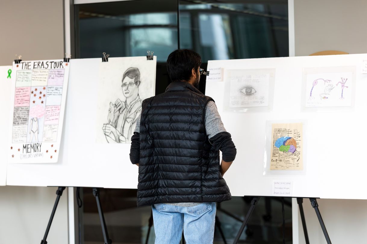 A person wearing a black puffer vest looks at drawings posted on white foam display boards.