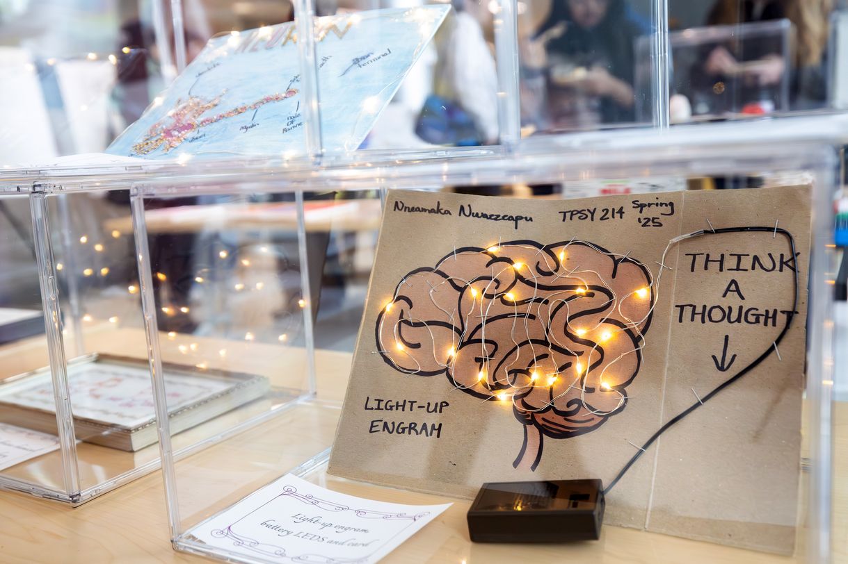A paper-based artwork displayed under a clear plastic display case. The work features a drawing of a brain with small lights connected by a wire running through it.