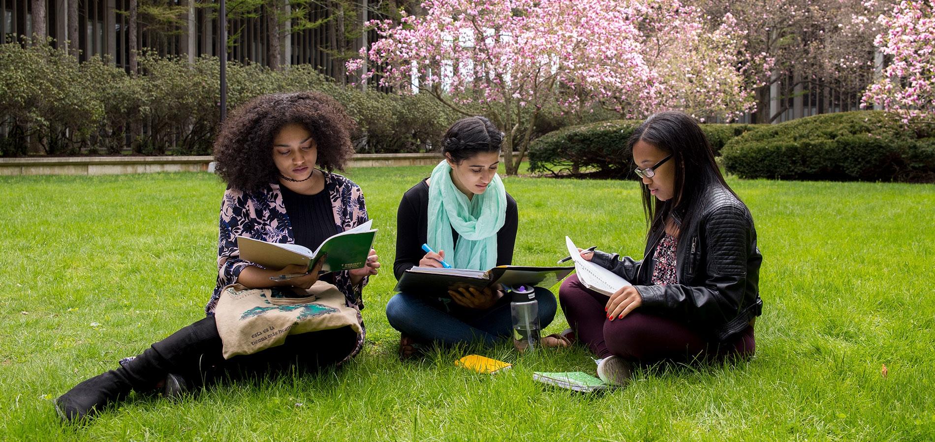 Three women reading in the grass together