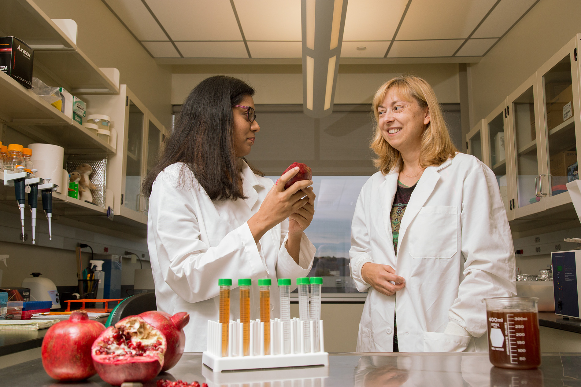 UAlbany researcher and graduate researcher collaborate on pomegranate extract research