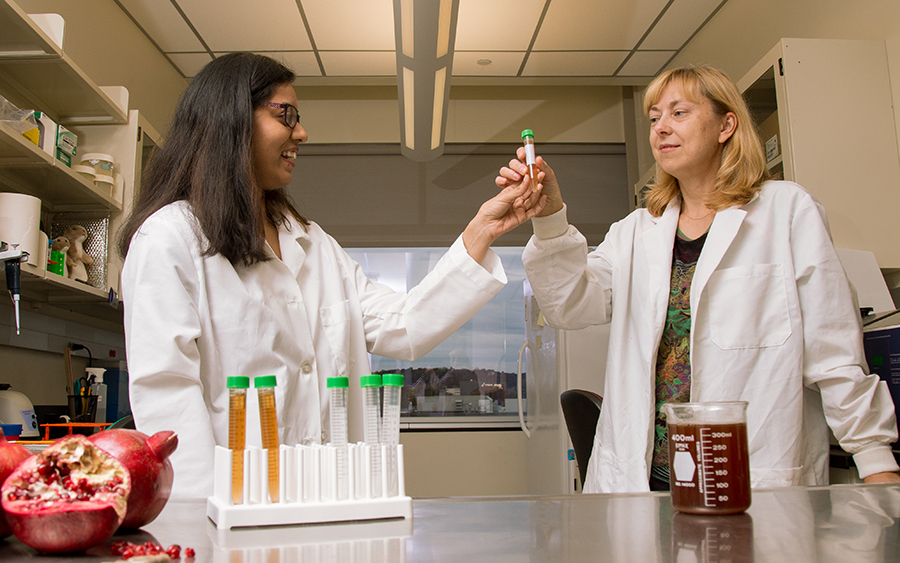 UAlbany researcher Dr. Ramune Reliene and graduate researcher Sameera Nallanthighal hold a test tube in the lab as they explore the concept that antioxidant-rich pomegranate extract protects against breast cancer.  Photographer: Paul Miller