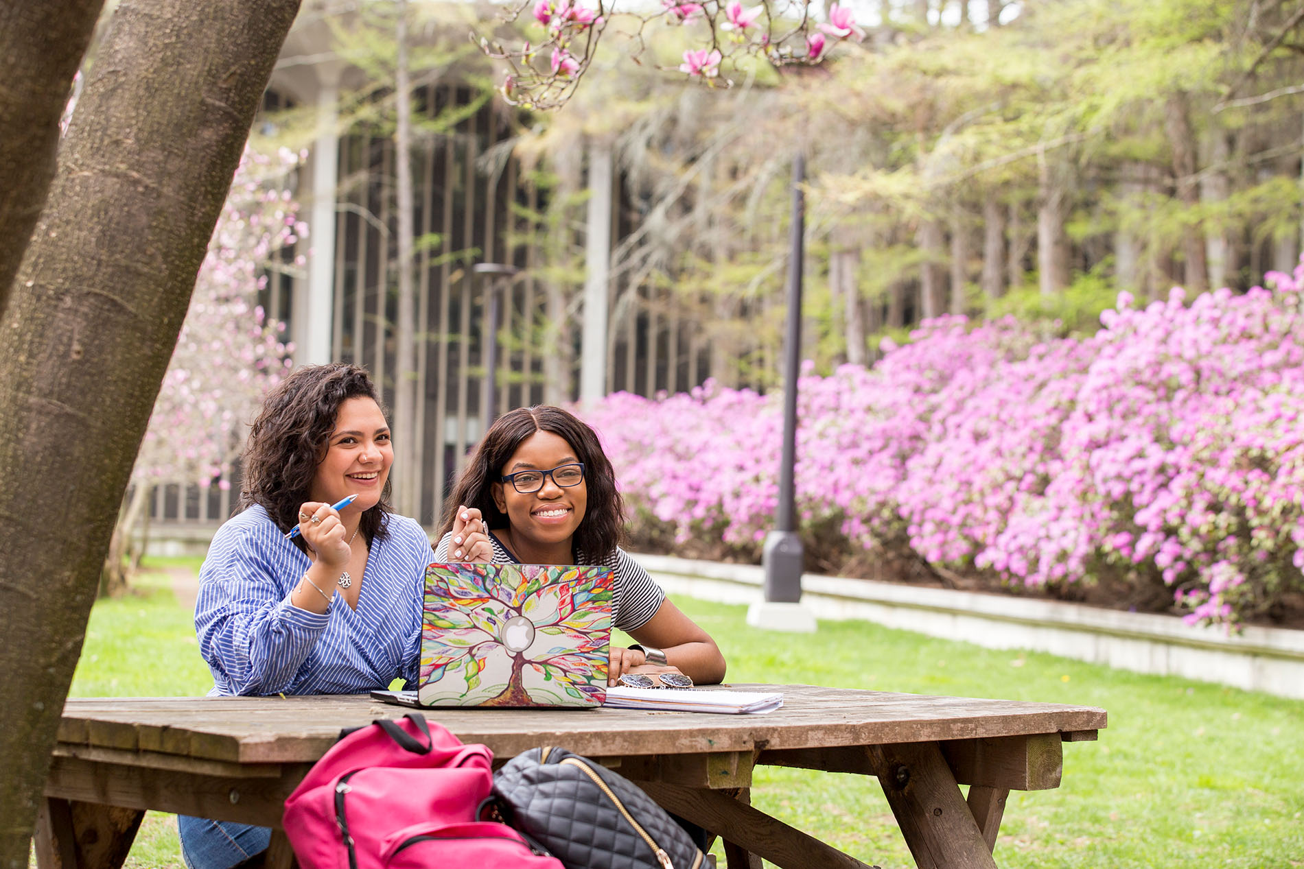Blooming flowers and students