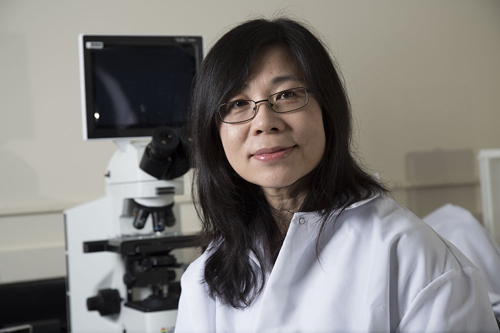 Dr. Yanna Liang, Professor and Chair