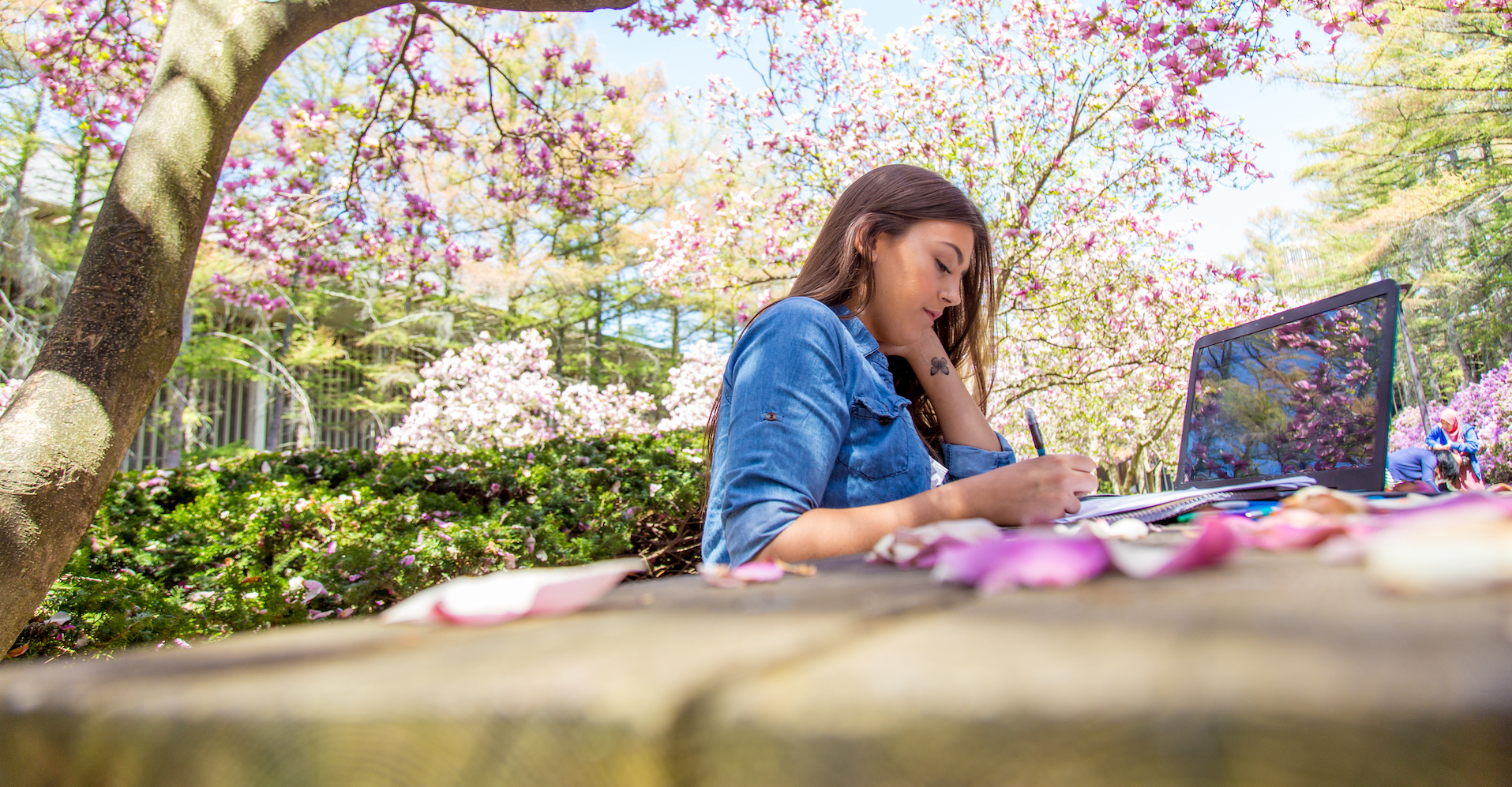 A student studying on a bench in the Azalea garden