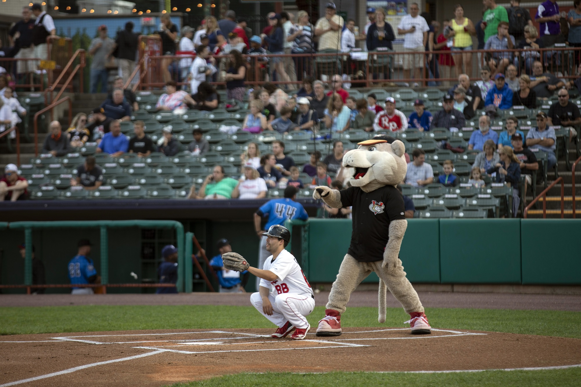  Tri-City ValleyCats mascot SouthPaw stands behind home plate to get ready for the first pitch.