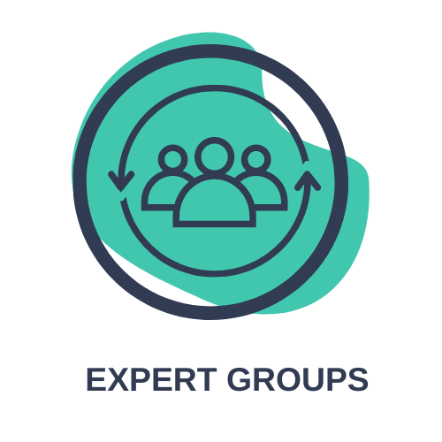 Expert Groups