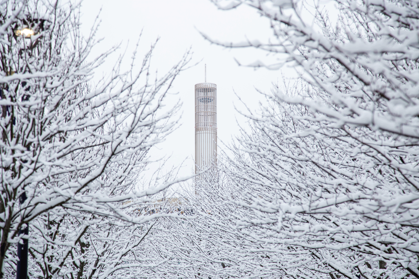 A view of the University at Albany tower through the trees in the snow.