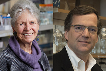 Joan Steitz and Erik Sontheimer